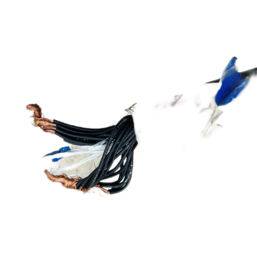 AG8亚洲游戏国际集团·(中国)官方网站