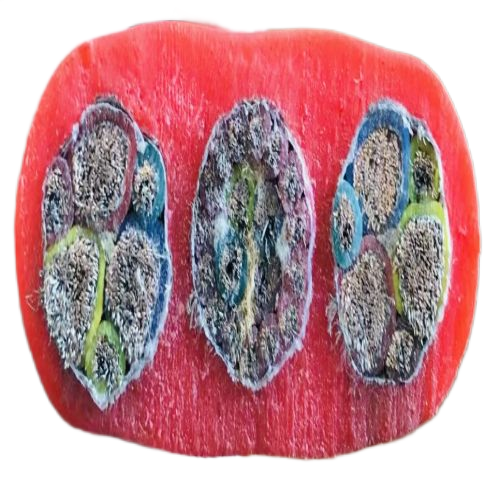 AG8亚洲游戏国际集团·(中国)官方网站