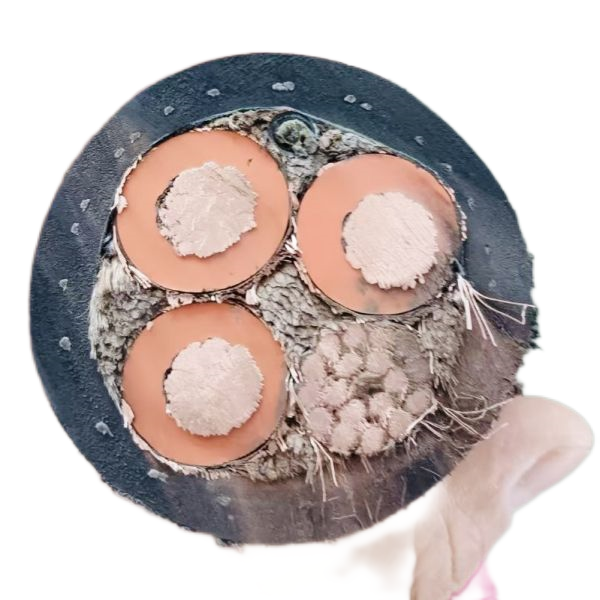 AG8亚洲游戏国际集团·(中国)官方网站