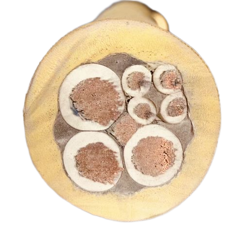 AG8亚洲游戏国际集团·(中国)官方网站