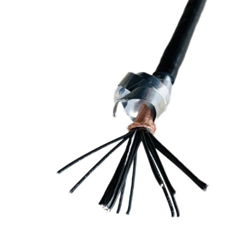 AG8亚洲游戏国际集团·(中国)官方网站