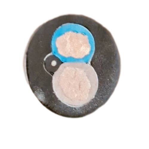 AG8亚洲游戏国际集团·(中国)官方网站