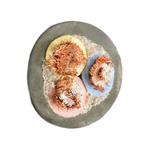 AG8亚洲游戏国际集团·(中国)官方网站