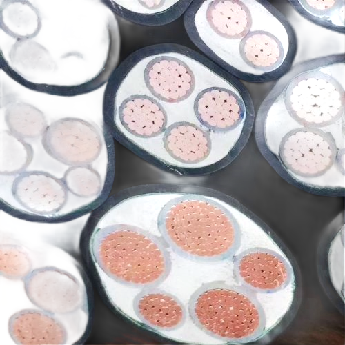 AG8亚洲游戏国际集团·(中国)官方网站