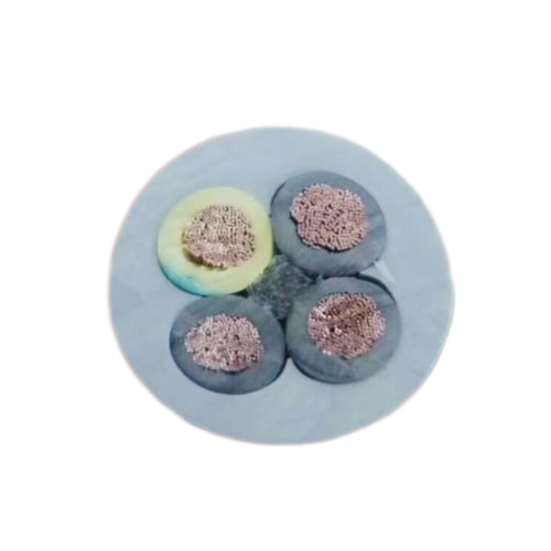 AG8亚洲游戏国际集团·(中国)官方网站