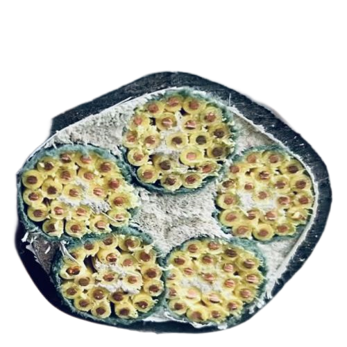 AG8亚洲游戏国际集团·(中国)官方网站