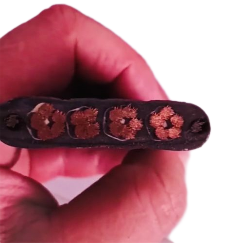 AG8亚洲游戏国际集团·(中国)官方网站