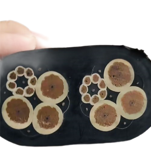 AG8亚洲游戏国际集团·(中国)官方网站