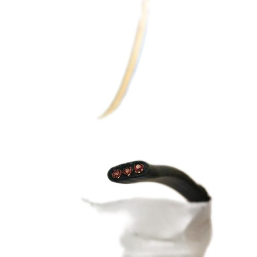 AG8亚洲游戏国际集团·(中国)官方网站