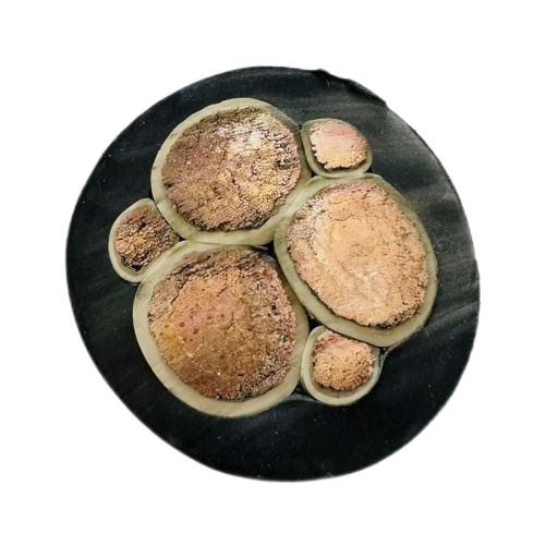 AG8亚洲游戏国际集团·(中国)官方网站