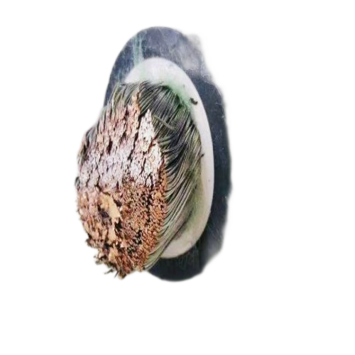 AG8亚洲游戏国际集团·(中国)官方网站