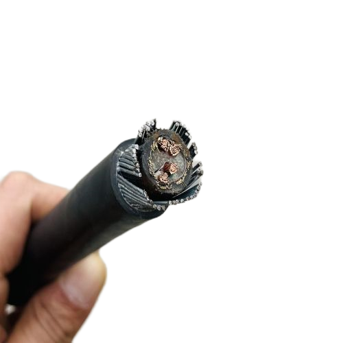 AG8亚洲游戏国际集团·(中国)官方网站