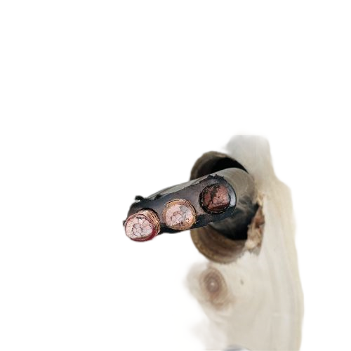 AG8亚洲游戏国际集团·(中国)官方网站