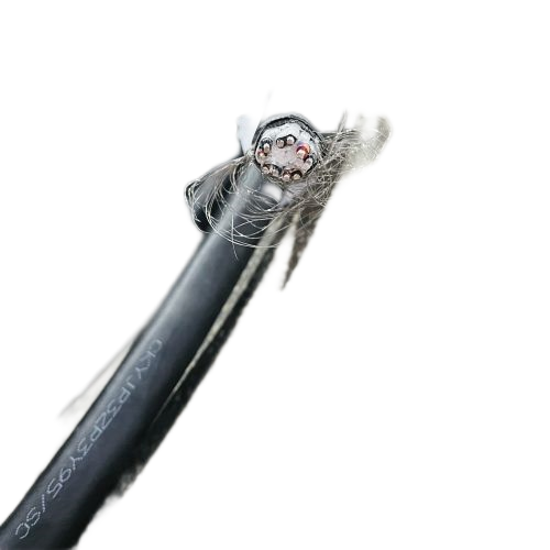 AG8亚洲游戏国际集团·(中国)官方网站