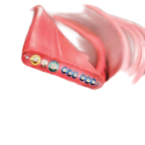 AG8亚洲游戏国际集团·(中国)官方网站