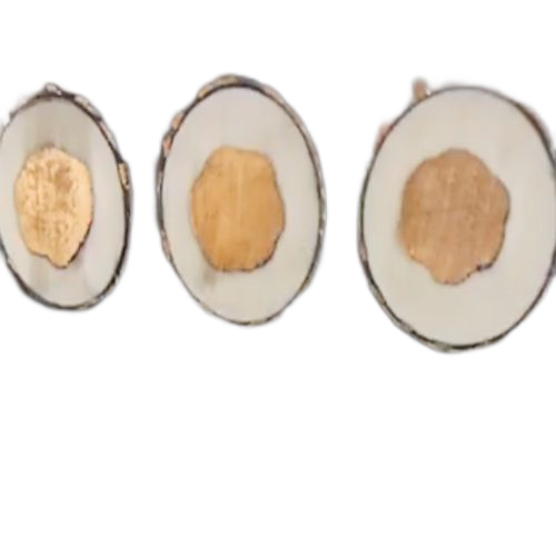 AG8亚洲游戏国际集团·(中国)官方网站