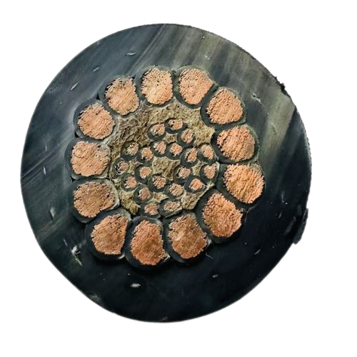 AG8亚洲游戏国际集团·(中国)官方网站