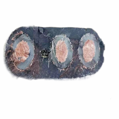 AG8亚洲游戏国际集团·(中国)官方网站