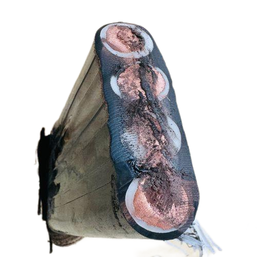 AG8亚洲游戏国际集团·(中国)官方网站