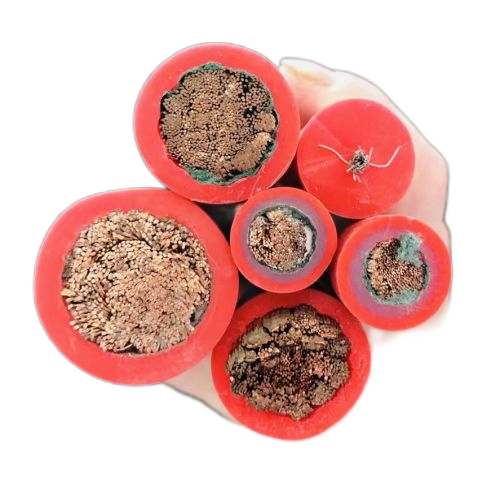 AG8亚洲游戏国际集团·(中国)官方网站