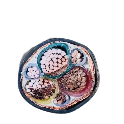 AG8亚洲游戏国际集团·(中国)官方网站