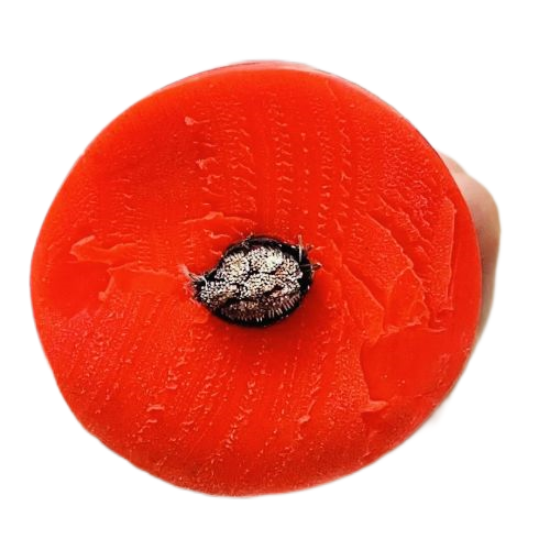 AG8亚洲游戏国际集团·(中国)官方网站