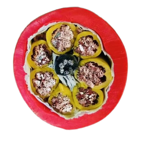 AG8亚洲游戏国际集团·(中国)官方网站