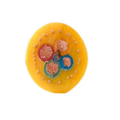 AG8亚洲游戏国际集团·(中国)官方网站