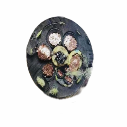 AG8亚洲游戏国际集团·(中国)官方网站