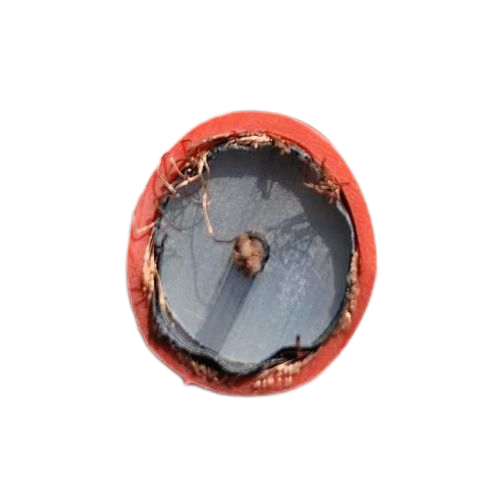 AG8亚洲游戏国际集团·(中国)官方网站