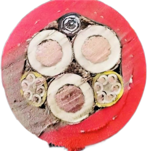 AG8亚洲游戏国际集团·(中国)官方网站