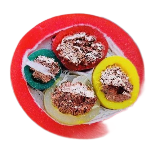 AG8亚洲游戏国际集团·(中国)官方网站