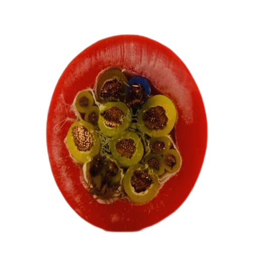 AG8亚洲游戏国际集团·(中国)官方网站