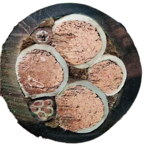 AG8亚洲游戏国际集团·(中国)官方网站