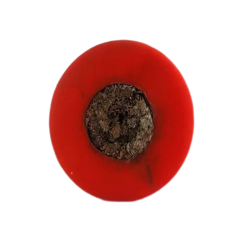 AG8亚洲游戏国际集团·(中国)官方网站